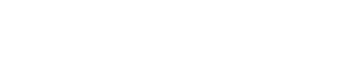 Witwu Records